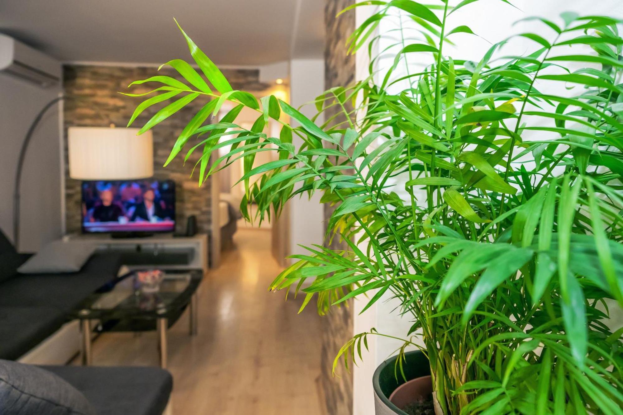 Relaxing 2Bd Apartment, Ground Floor - Walk To Old Town Split Kültér fotó